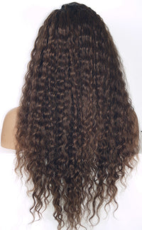 Ombre Spiral Curl Lace Front Wig | Model Lace Wigs and Hair